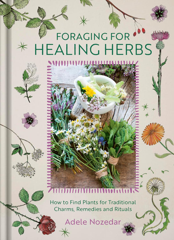 Foraging for Healing Herbs by Adele Nozedar