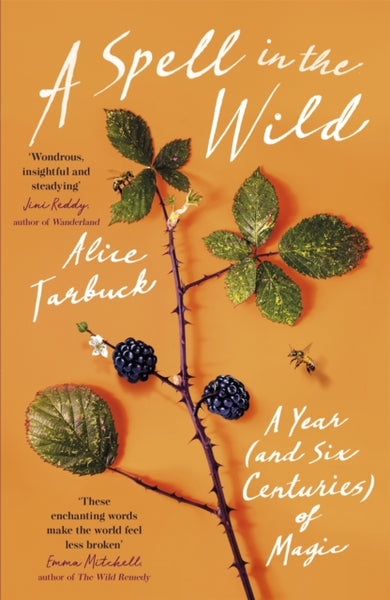 A Spell in the Wild by Alice Tarbuck
