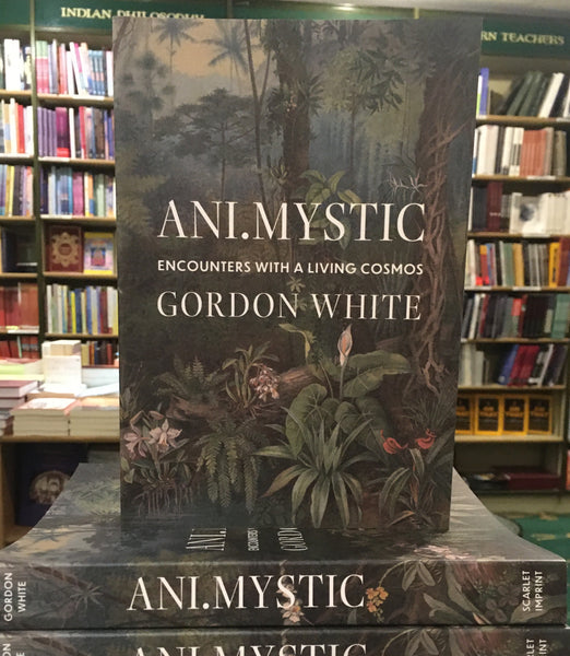 Ani.Mystic by Gordon White (Paperback)