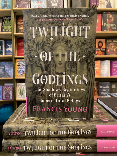 Twilight of the Godlings by Francis Young