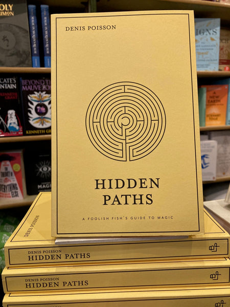 Hidden Paths (paperback) by Denis Poisson