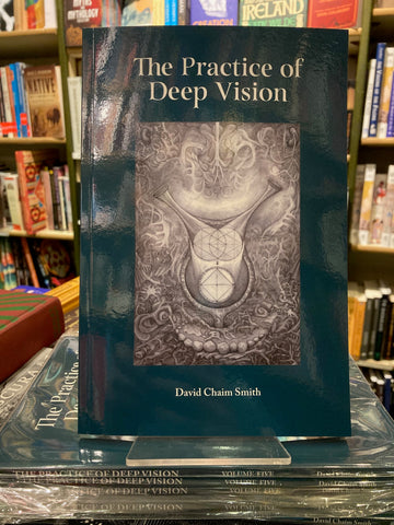 The Practice of Deep Vision by David Chaim Smith