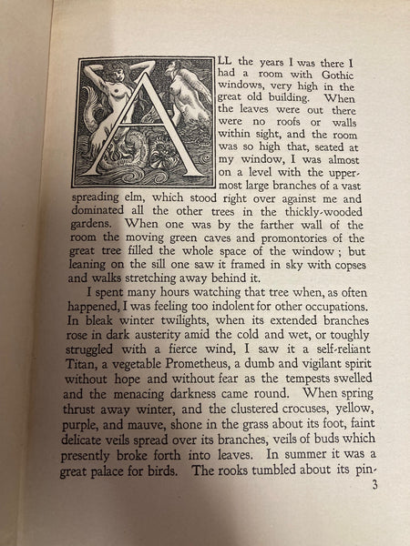 The Gold Tree by J.C. Squire [Austin Osman Spare]