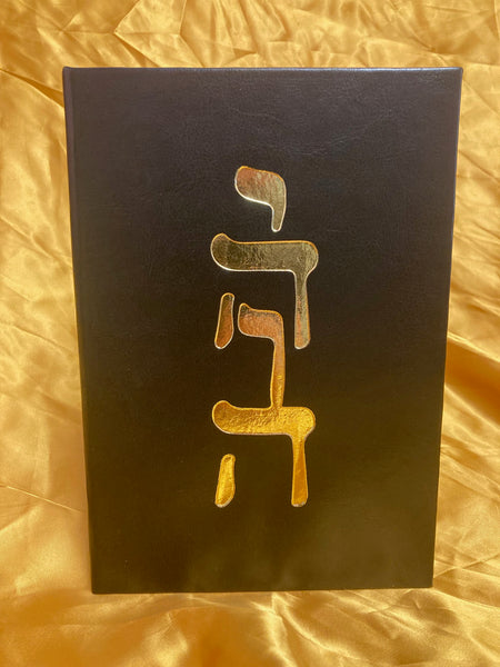 The Divine Irony of the Son of Man (deluxe edition) by John Meek