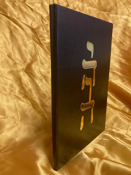 The Divine Irony of the Son of Man (deluxe edition) by John Meek