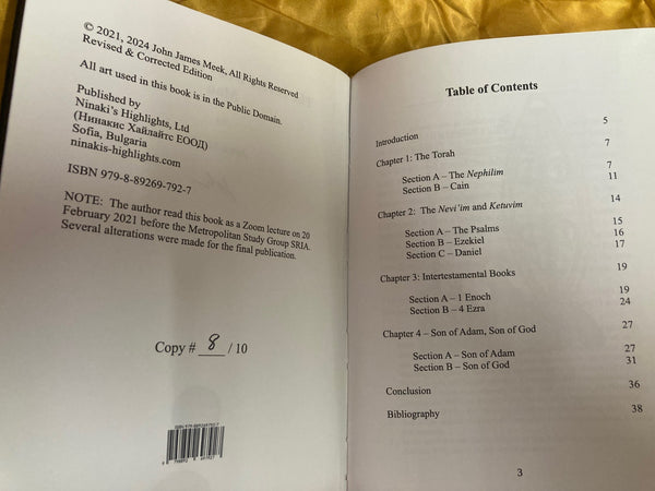 The Divine Irony of the Son of Man (deluxe edition) by John Meek