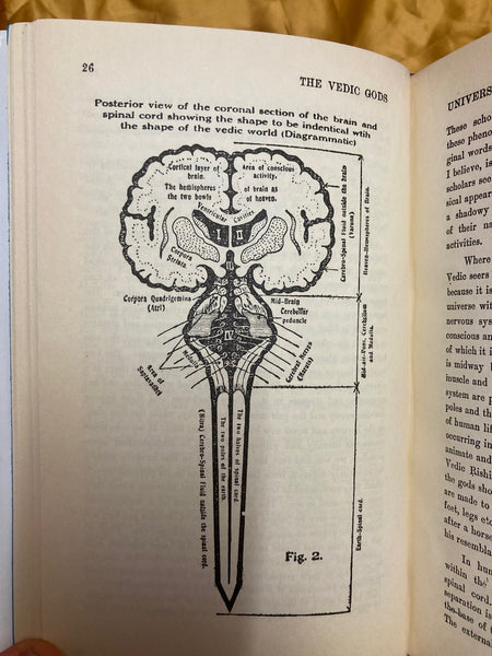 Vedic Gods as Figures of Biology by V.G. Rele