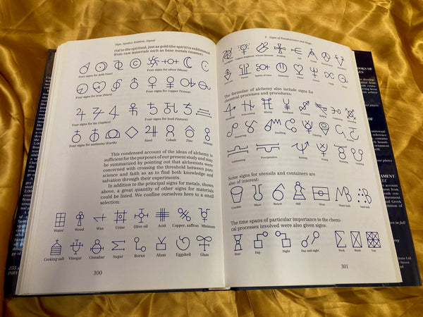 Signs and Symbols - Their Design and Meaning by Adrian Frutiger