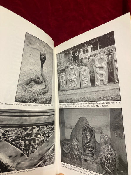 The Sign of the Serpent by Mark Balfour