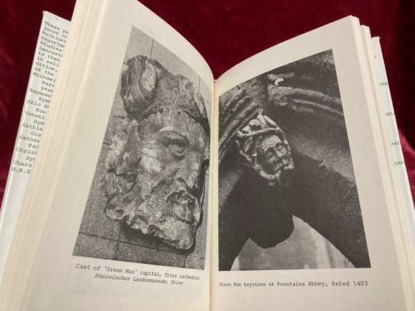 Symbols of Power Edited by H.R. Ellis Davidson