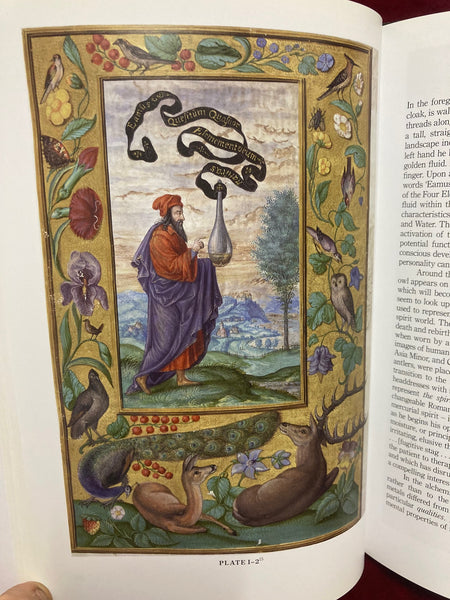 Transformation of the Psyche - The Symbolic Alchemy of the Splendor Solis by Joseph L. Henderson & Dyane N. Sherwood