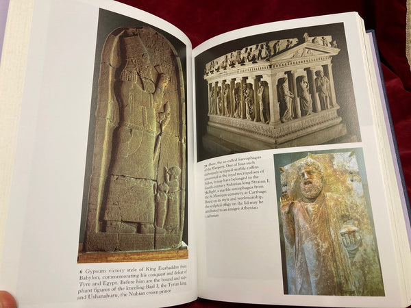 The Phoenicians by Glenn E. Markoe