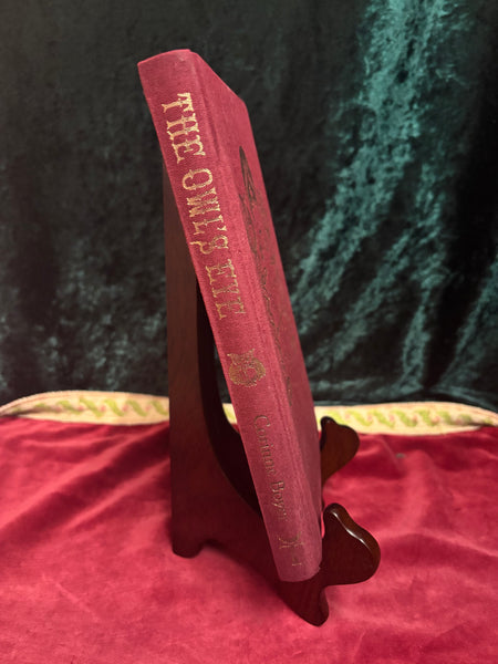 The Owl's Eye by Corinne Boyer