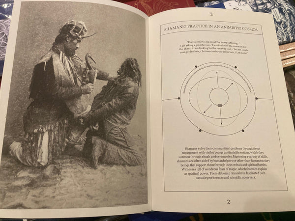 Shamans : The visual culture of animism, healing and journeys to other planes by Max Carocci