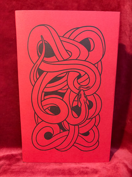 Via Tortuosa by Daniel A. Schulke & Robert Fitzgerald