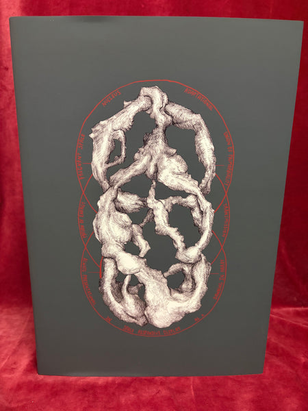 The Sacrificial Universe by David Chaim Smith