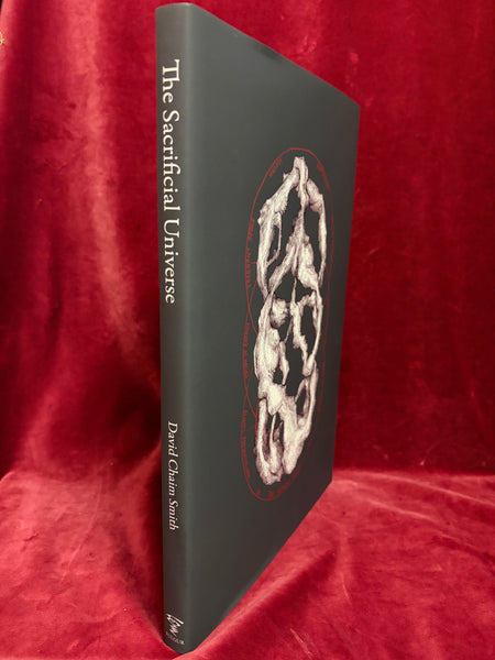 The Sacrificial Universe by David Chaim Smith