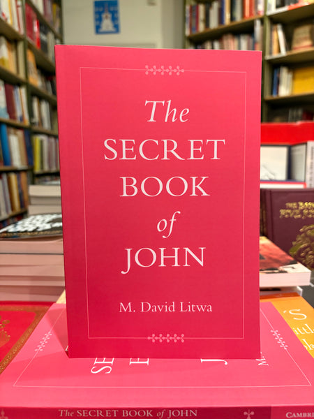 The Secret Book of John by M. David Litwa⁣