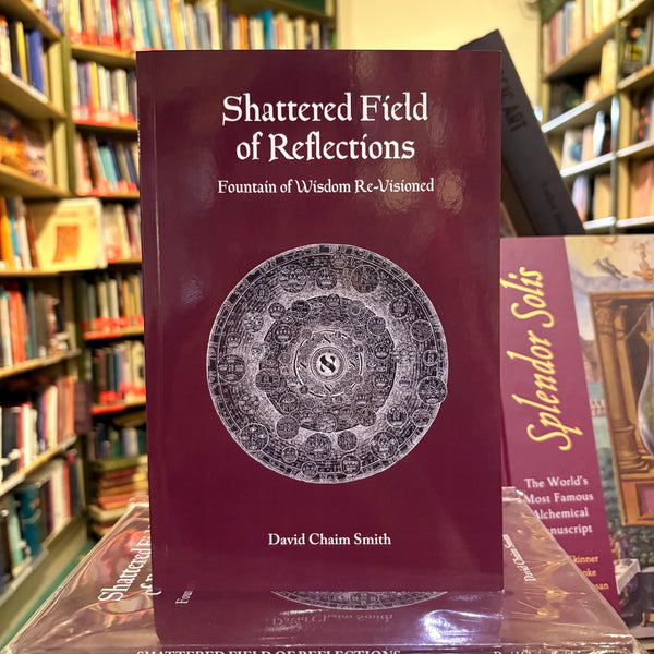 Shattered Field of Relfections by David Chaim Smith