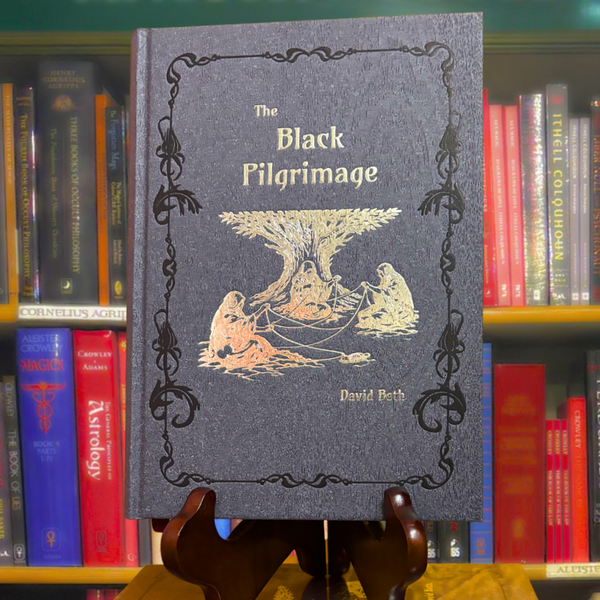 The Black Pilgrimage by David Beth