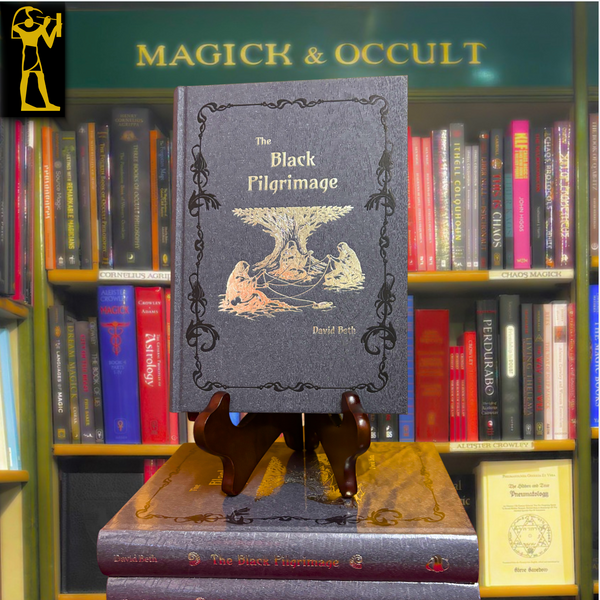 The Black Pilgrimage by David Beth