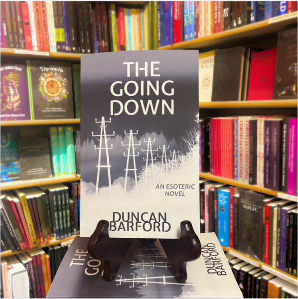 The Going Down by Duncan Barford
