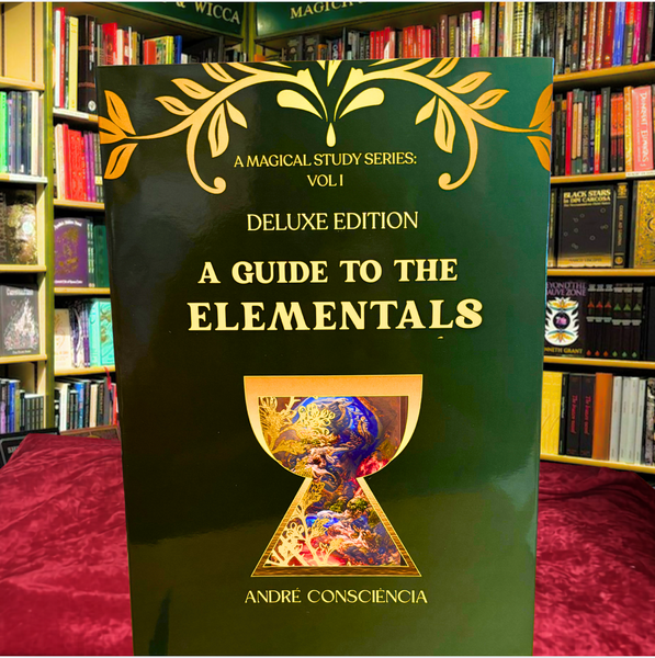 A Guide To The Elementals (A Magical Study Series Volume Book 1)