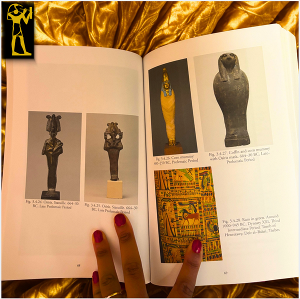 King Horus and his Journey Around the Zodiac : A Guide to the Wisdom of Ancient Egypt by Carolina B Boschetti