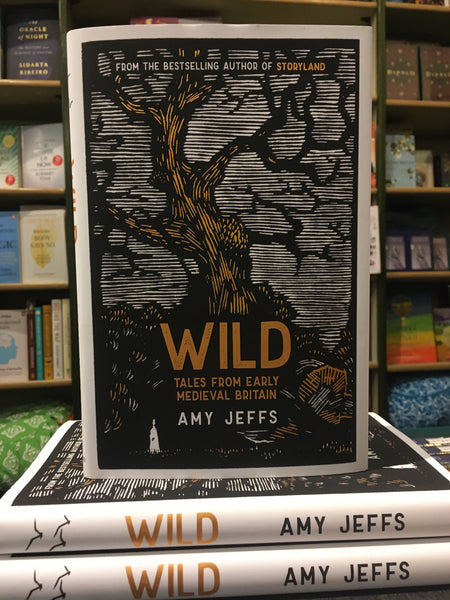 Wild : Tales from Early Medieval Britain by Amy Jeffs
