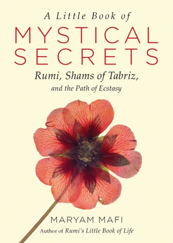 A Little Book of Mystical Secrets by Maryam Mafi