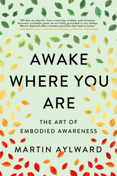 Awake Where You Are by Martin Aylward